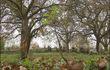 Thier-à-Liège : découverte d'un ilôt de verdure